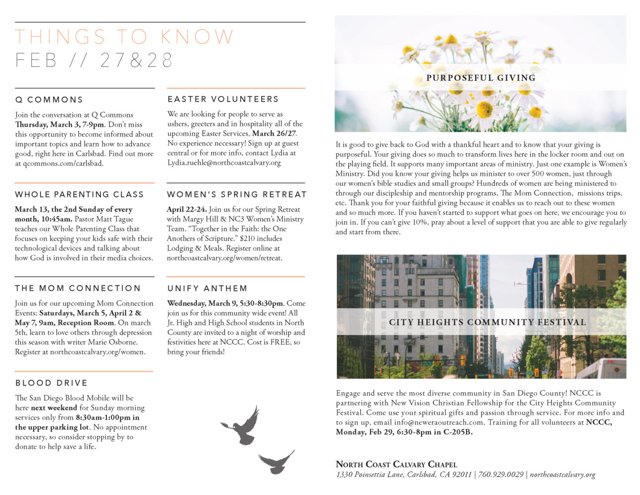 Bulletin North Coast Calvary Chapel - 