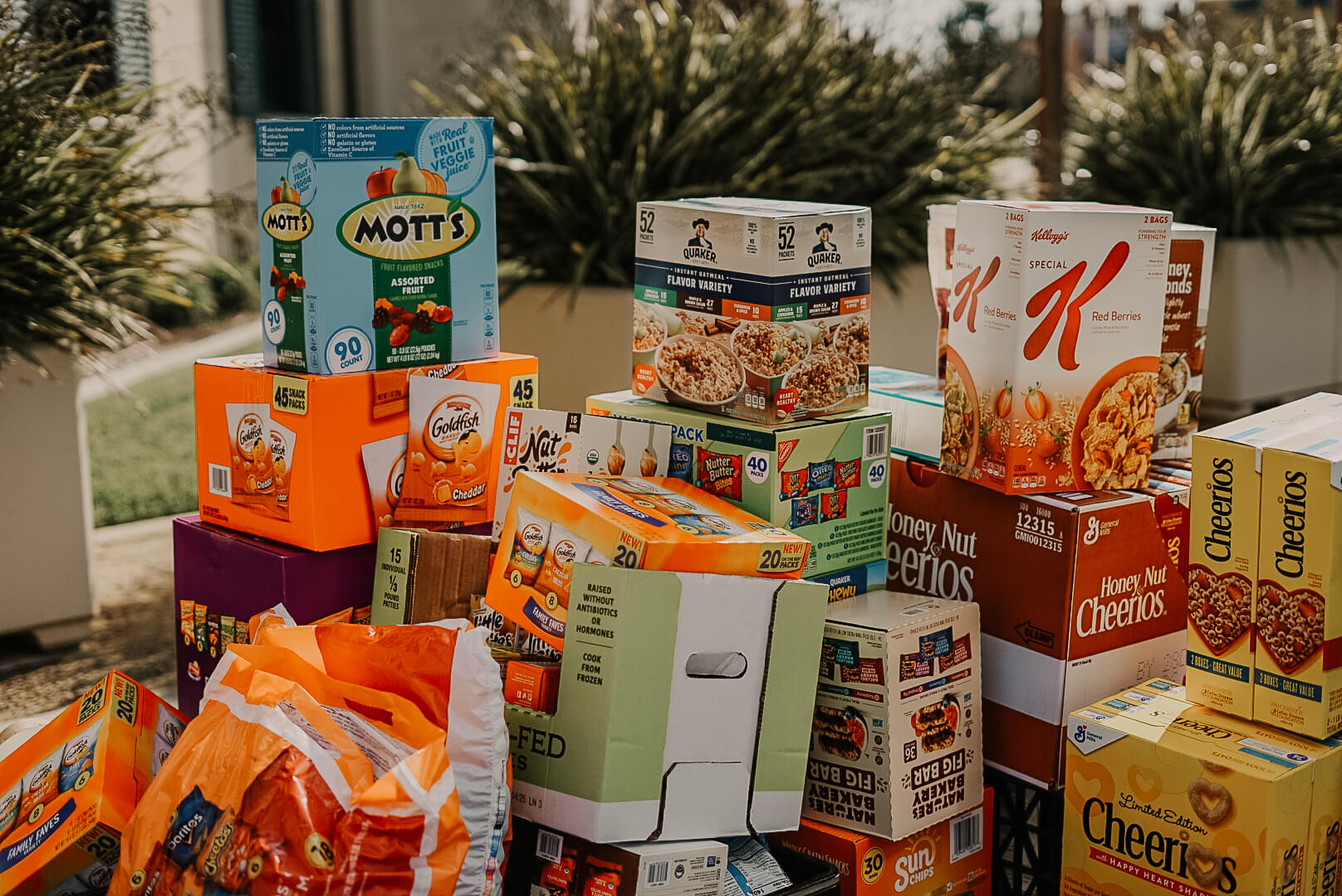 food drive 2.11.2129
