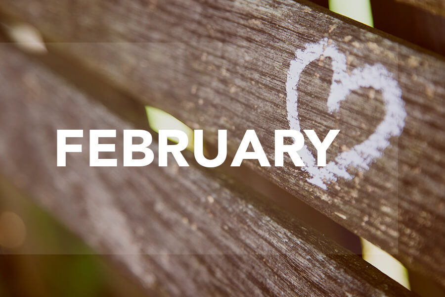 Life-Plus-February-Thumbnails-04-09-21