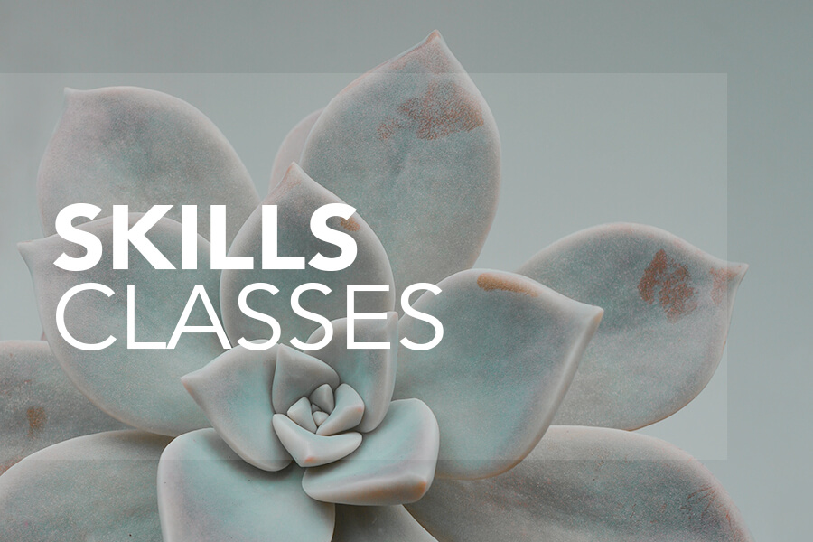 skills_thumbnail_7_17_22