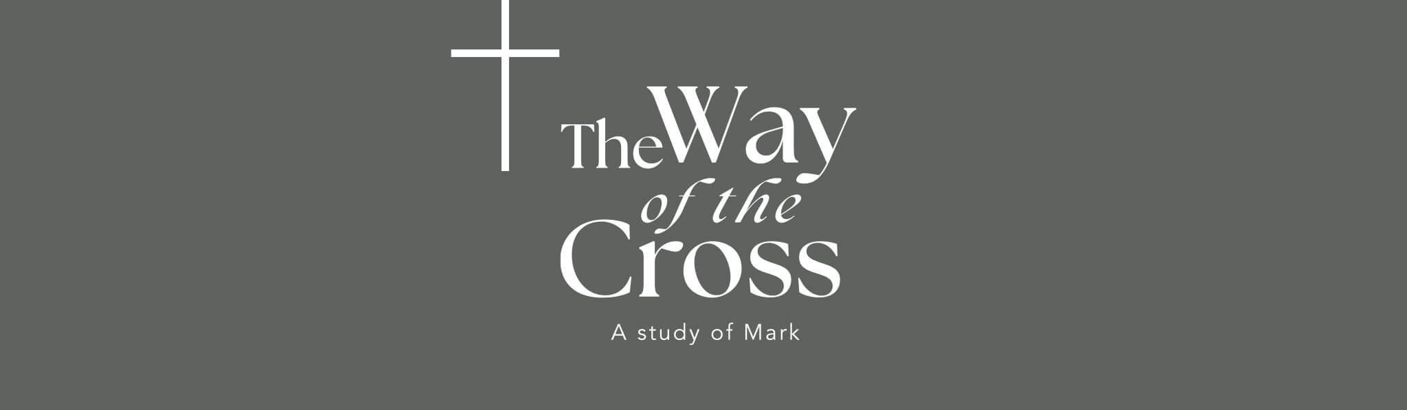 Way of the Cross - Banner - Wide