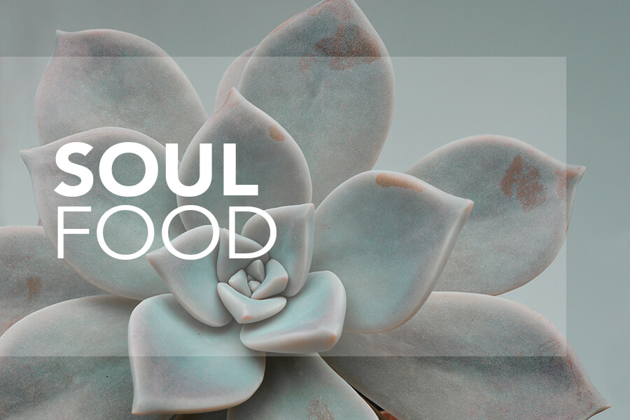 soul_food_thumbnail_12_4_2022 copy