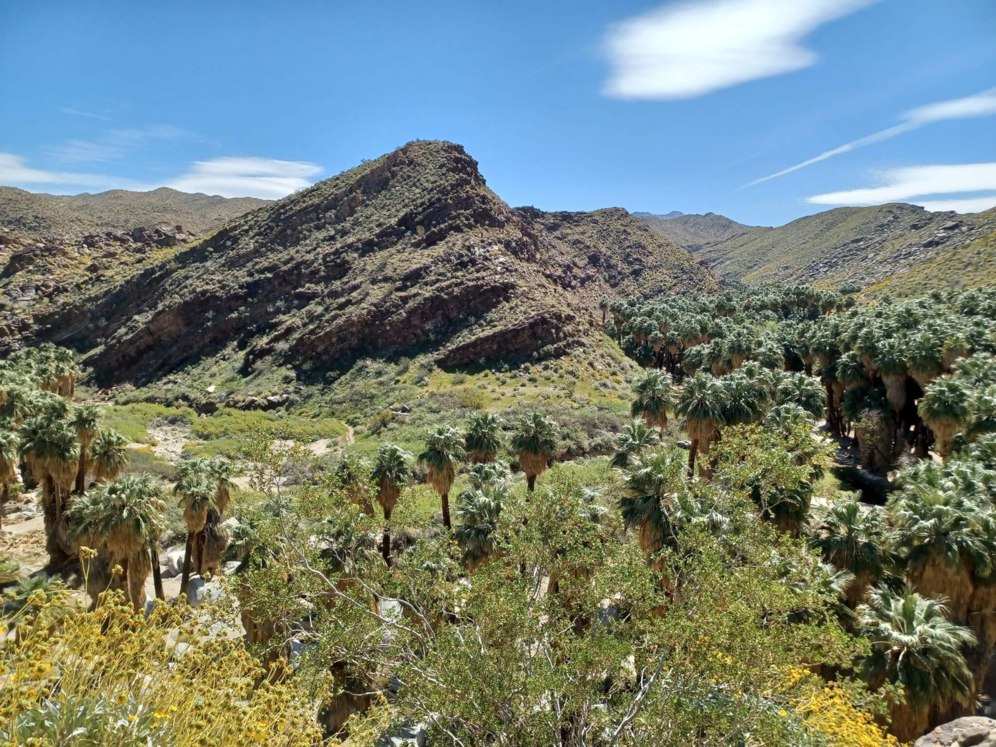2022-03-19 View from the Agua Caliente Trading Post