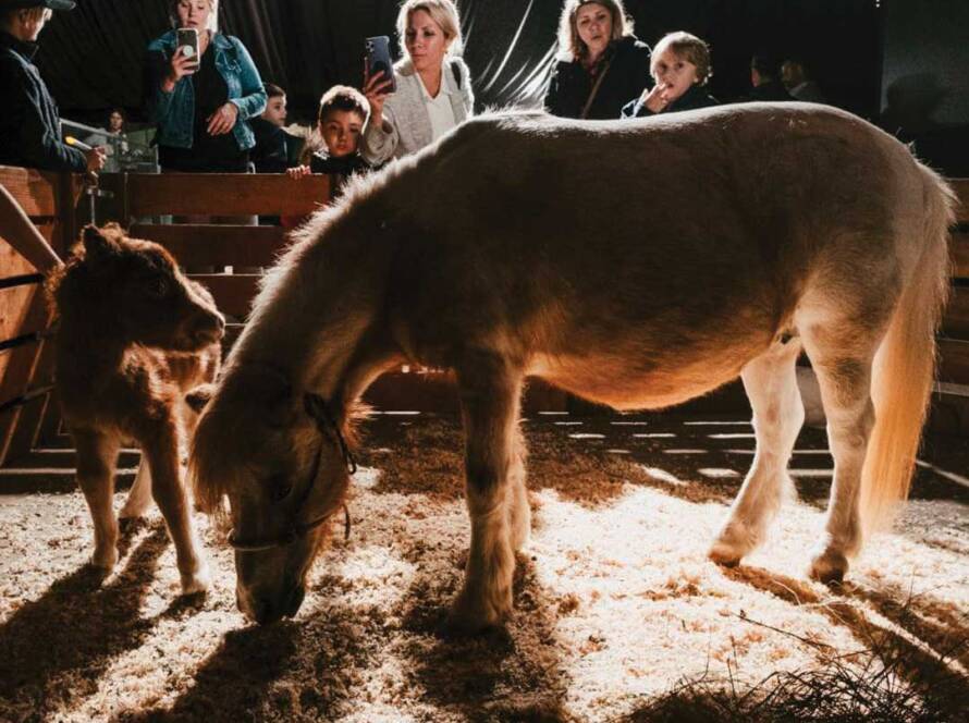 Christmas family event at Carlsbad church